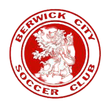  بيرويك سيتي