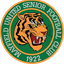 Mayfield United Senior