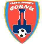 एसीएस डीपी कॉर्नू