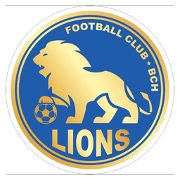 বিসিএইচ লায়ন্স