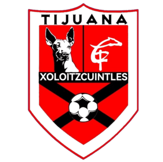 জোলোইটকুইন্টলেস