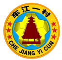 चेजियांग 1 विलेज फुटबॉल टीम