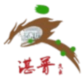 চংকিং কিংইয়ুন