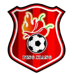 Pingxiang Team