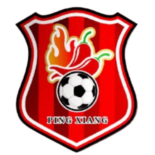 Pingxiang Team