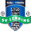 SV Lebring