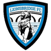 Lionsbridge FC