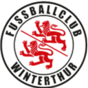 विंटरथुर अंडर 19