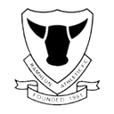 रामह्लुन एथलेटिक