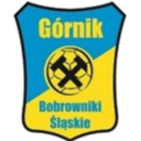 Gornik Bobrowniki Slanskie