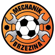 मेकानिक ब्रेज़िना