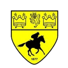 নিউমার্কেট টাউন