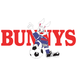 বান্নিস কিয়োটো মহিলা