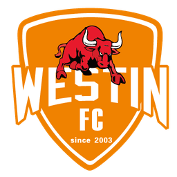 فوشان الرياضية للسيدات