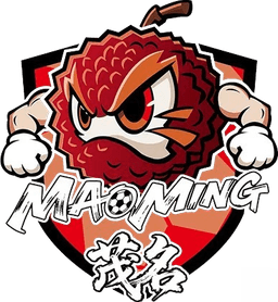 Maoming Team