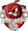 Maoming Team