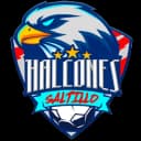 Halcones de Saltillo