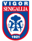 विगोर सेनिगालिया