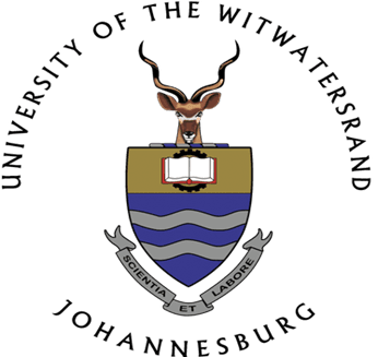 विट्स विश्वविद्यालय