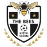 The Bees FC