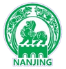 Nanjing Team