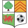 AFC Llwydcoed