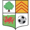 AFC Llwydcoed