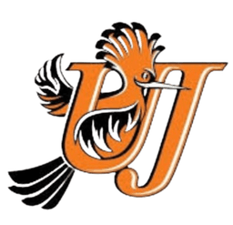 ইউনিভার্সিটি অফ যোগানেসবার্গ এফসি