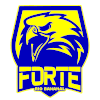 Forte FC Youth