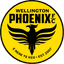 Wellington Phoenix Reserve