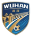 Wuhan Team