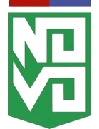 নোভো এসপোর্ট ক্লুবে ইপাটিঙ্গা