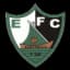 ইলেকট্রিকো এফসি
