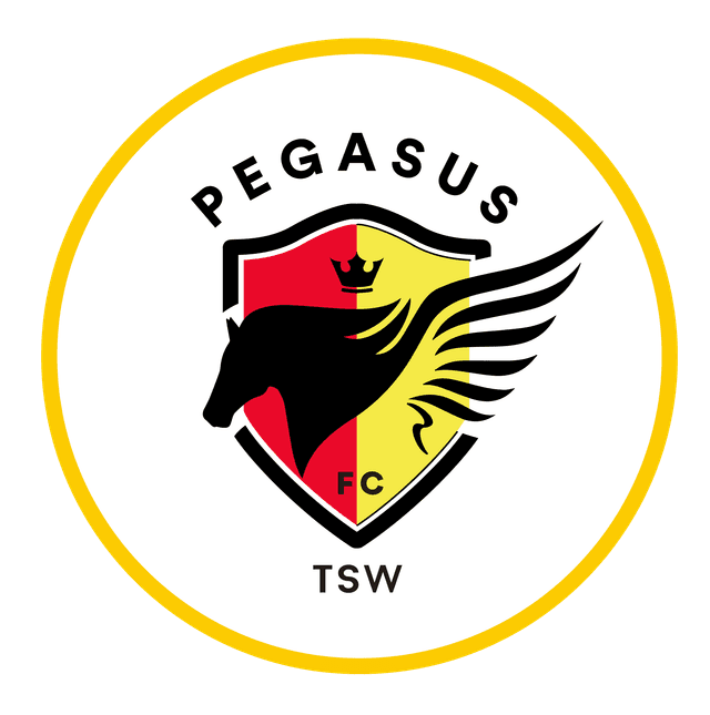 लिंग युई ओरियन एफसी