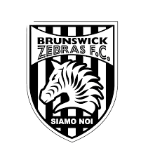 Brunswick Zebras