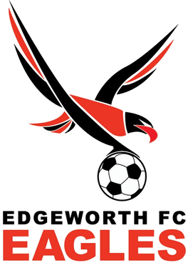 এজওয়ার্থ ঈগলস রিজার্ভস