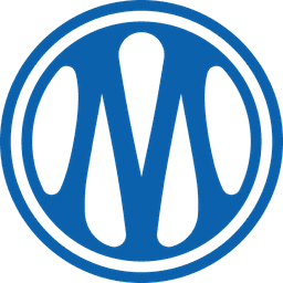 মার্সেই U19