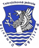 TJ पार्टिजन डोमानीजा