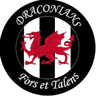 Cardiff Draconians FC
