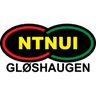 एनटीएनयूआई