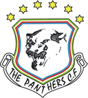 প্যান্থারস এফসি