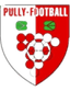 পুলি ফুটবল