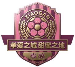 Xiaogan Team