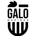 Galo Maringa