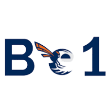 বিই১ এনএফএ