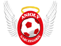 أنيولي غارتشيغورزي