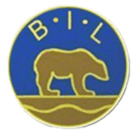 বজর্নেভাট্ন