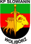 स्लोवियानिन वोलीबॉर्ज़