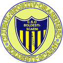 सीएसओ बोल्डेस्ती स्काइनी