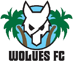 Wolues FC